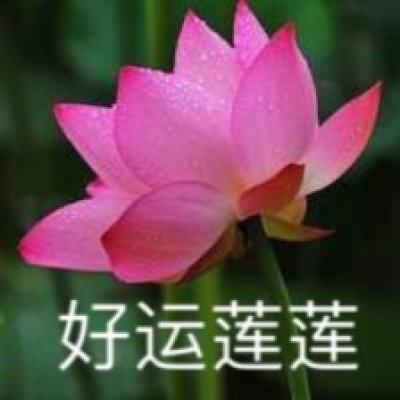 冰封战场变态版下载